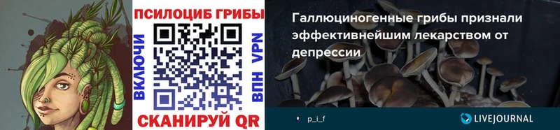 Псилоцибиновые грибы GOLDEN TEACHER  Магадан 