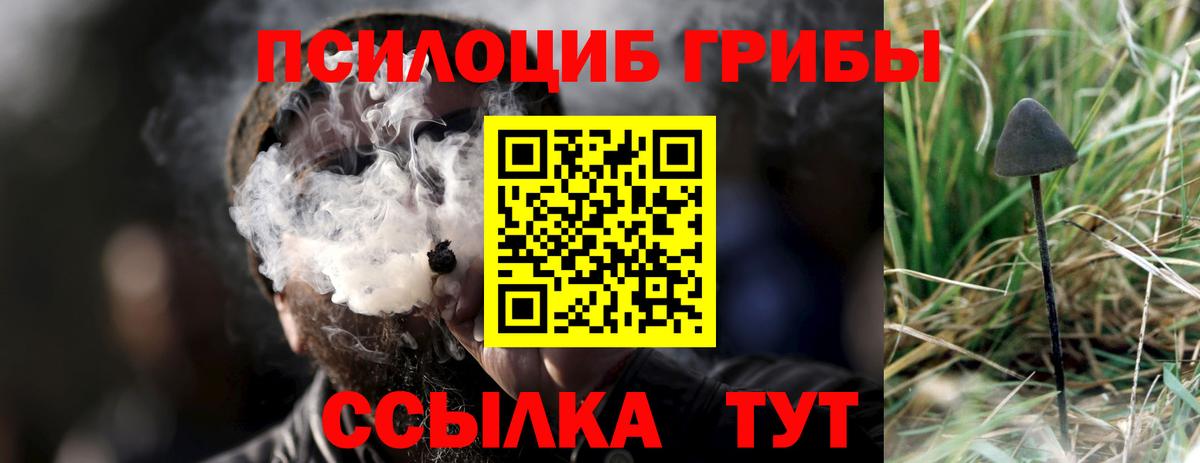 Псилоцибиновые грибы прущие грибы  Вход с VPN  продажа наркотиков  Магадан 